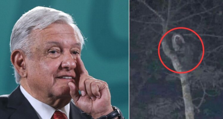 “Todo es místico”: presidente de México publica foto de supuesto ‘duende maya’