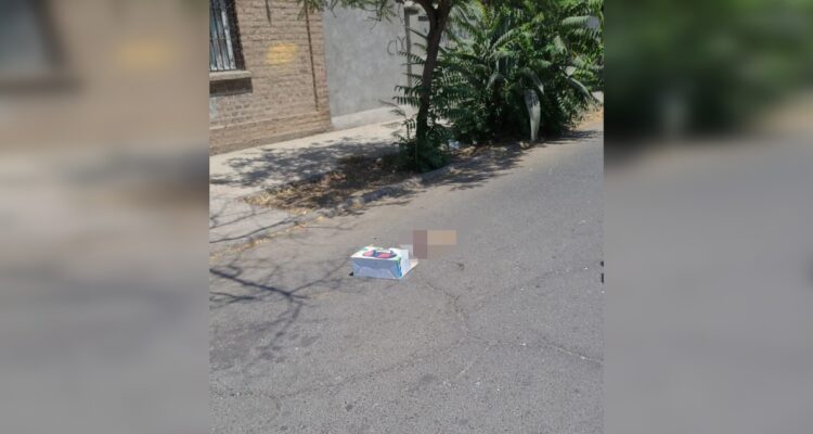 Encuentran brazo amputado en plena calle de Recoleta