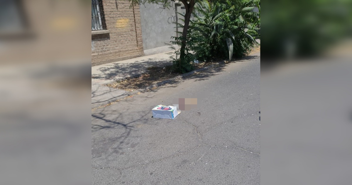 Encuentran brazo amputado en plena calle de Recoleta