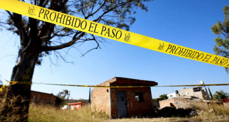 Crímenes del Cartel encuentran 31 cuerpos en dos fosas clandestinas de Jalisco