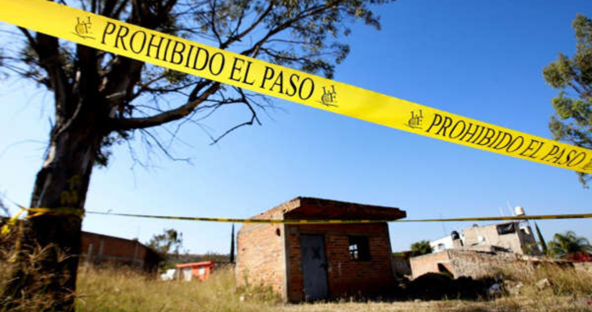 Crímenes del Cartel encuentran 31 cuerpos en dos fosas clandestinas de Jalisco