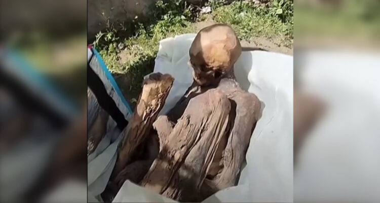 Encuentran momia de 800 años en mochila de repartidor de delivery en Perú