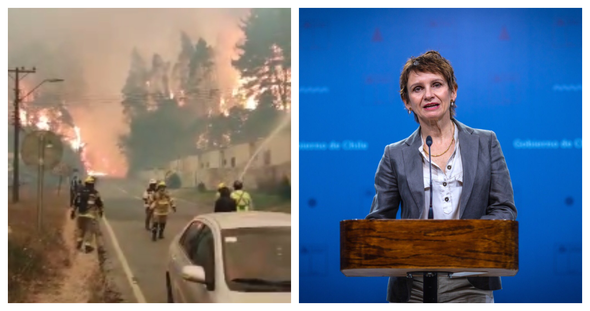 Gobierno decreta Estado de Catástrofe para la región del Bío Bío por incendios forestales