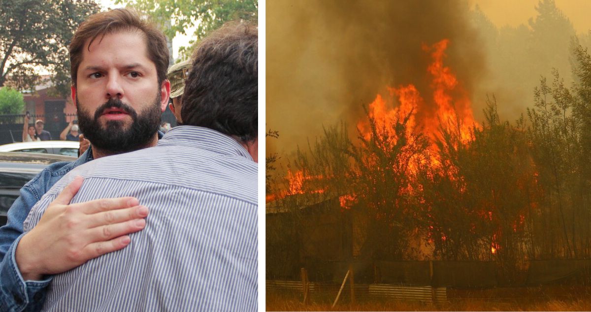 Qué es y qué significa el Estado de Excepción Constitucional de Catástrofe por los incendios forestales en 3 regiones de Chile