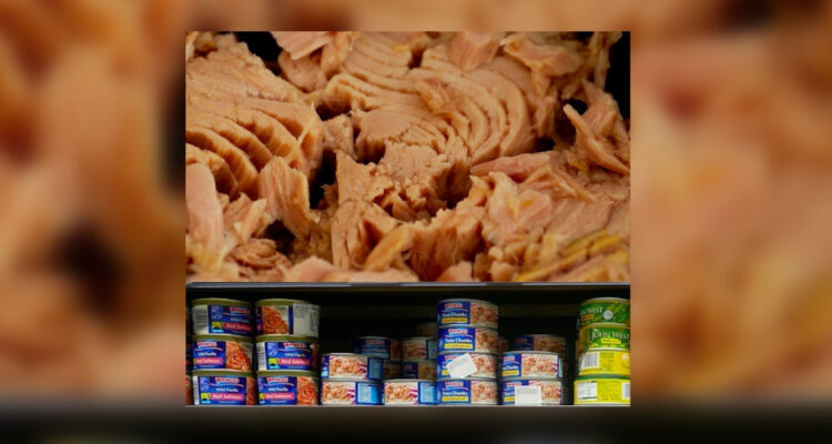 Estudio reveló los componentes y características de principales msrcas vendidas en Chile