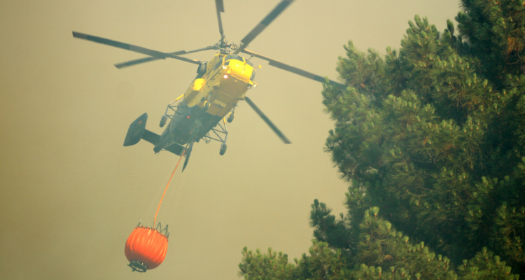 evacuar incendios forestales