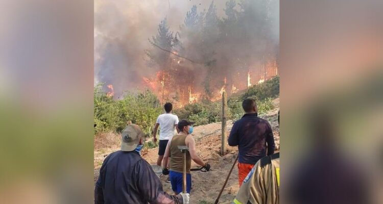Ordenan evacuar sectores de Nacimiento y Yumbel por amenaza de incendios forestales a viviendas