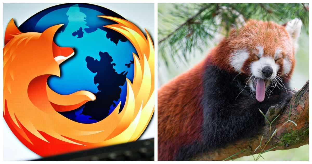 No es un zorro: la verdadera historia detrás del logo de Firefox