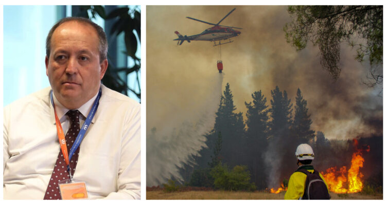 Fiscal Valencia por incendios: “En la actual investigación, la industria forestal es víctima”