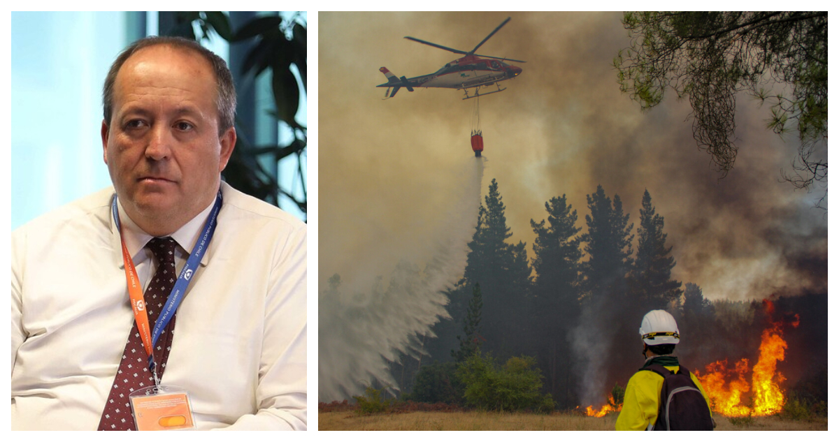 Fiscal Valencia por incendios: “En la actual investigación, la industria forestal es víctima”