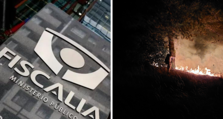 Fiscalía investiga acusados de incendios forestales en La Araucanía