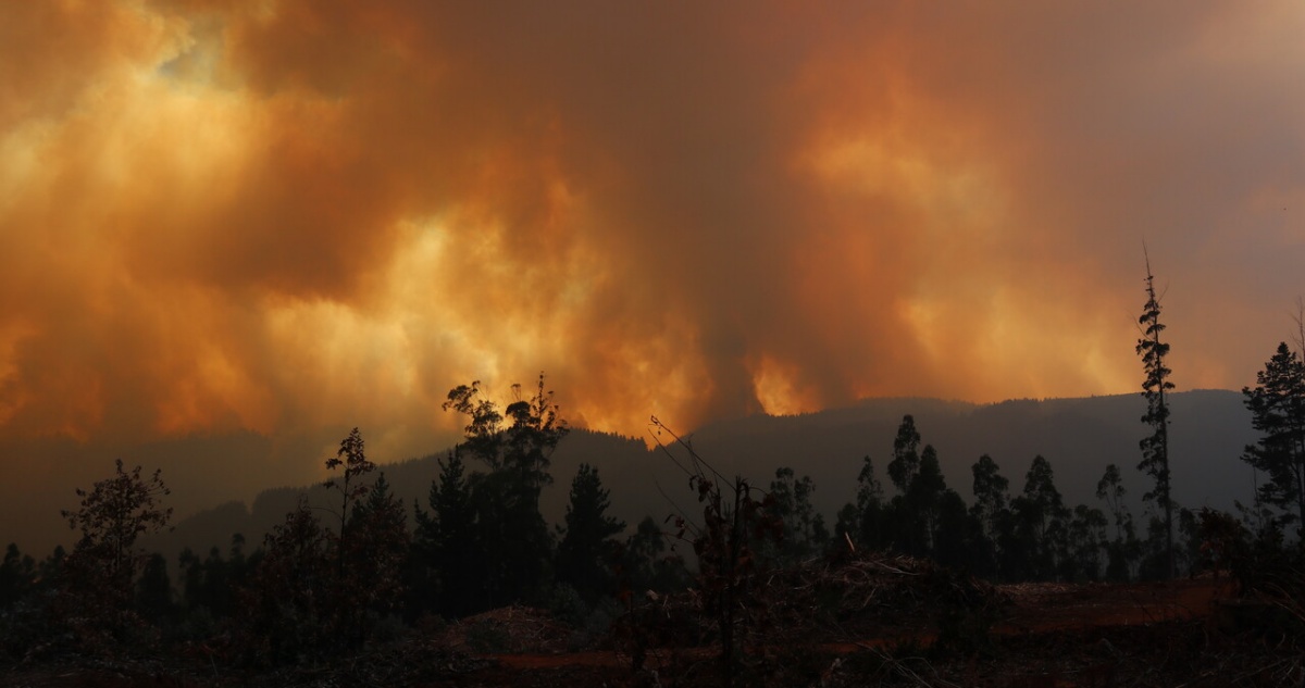 Fiscalía: a 5 aumentan las muertes durante incendio forestal en Santa Juana, incluyendo a bombera