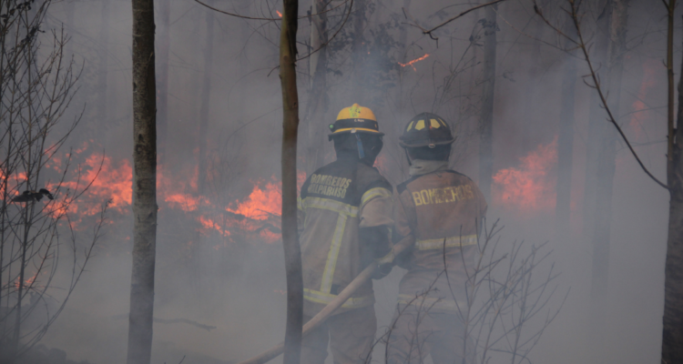 Fiscalía incendios
