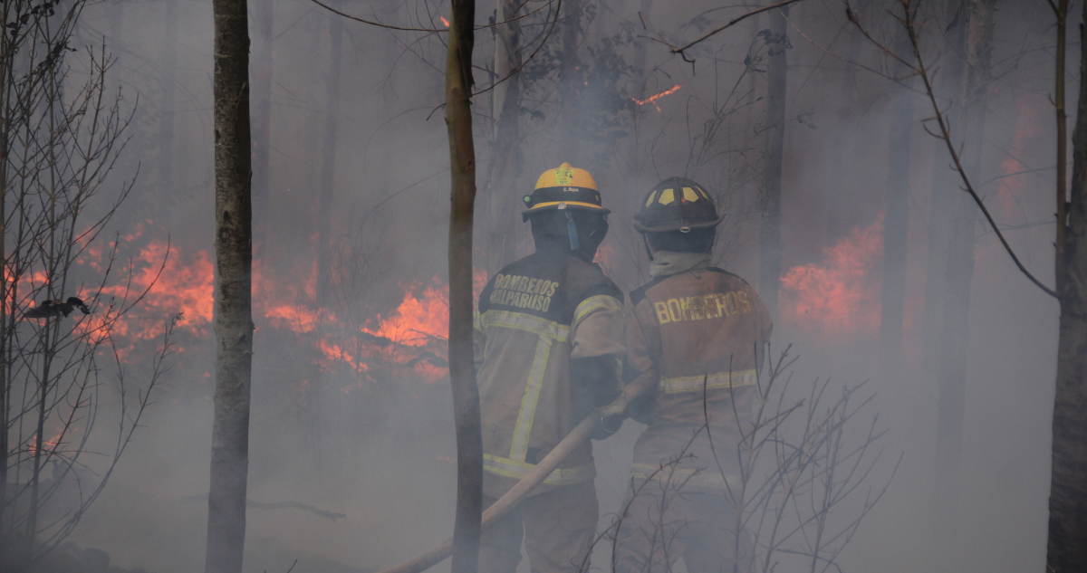 Fiscalía incendios