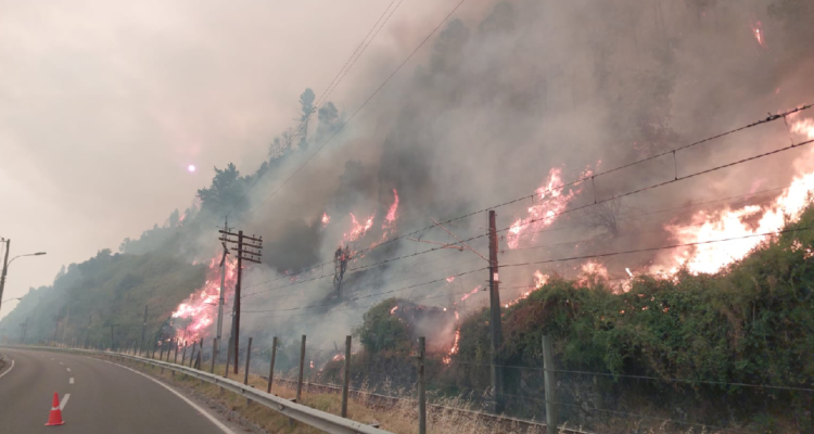 Fiscalía informa 14 fallecidos en región del Bío Bío por incendios: confirman identidad de 2 personas