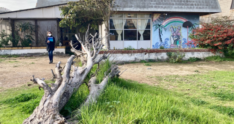 Fiscalía se arepiente de sobreseer caso por acusaciones de torturas en Hospital El Salvador