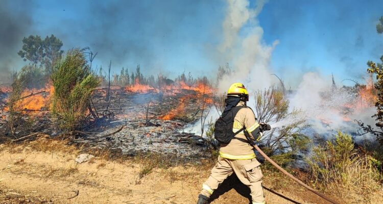 Incendios en Trehuaco y Quirihue