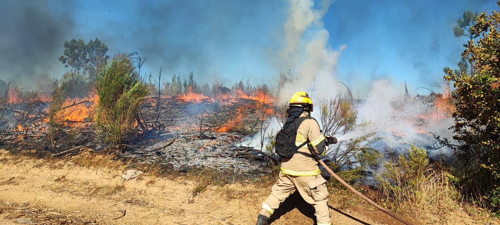 Incendios en Trehuaco y Quirihue