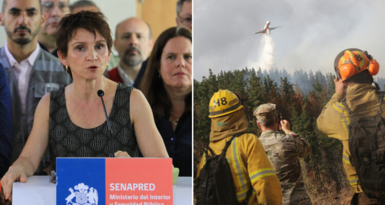 Gobierno acusa agresiones a brigadistas en Bío Bío y La Araucanía durante combate a incendios