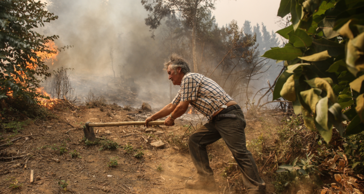 Gobierno ayuda incendios