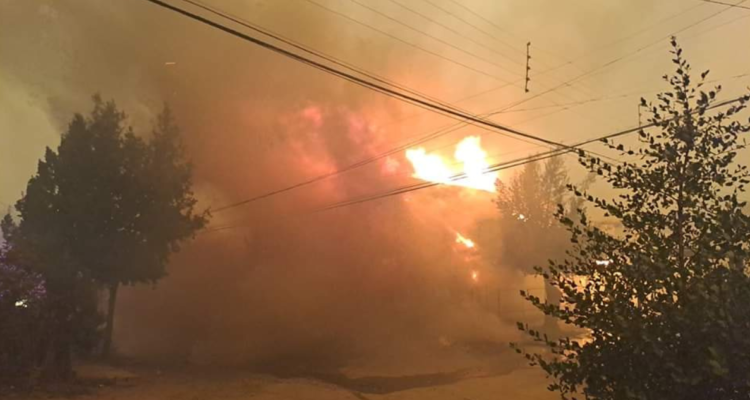 Gobierno confirma nueva víctima fatal por incendios forestales en La Araucanía