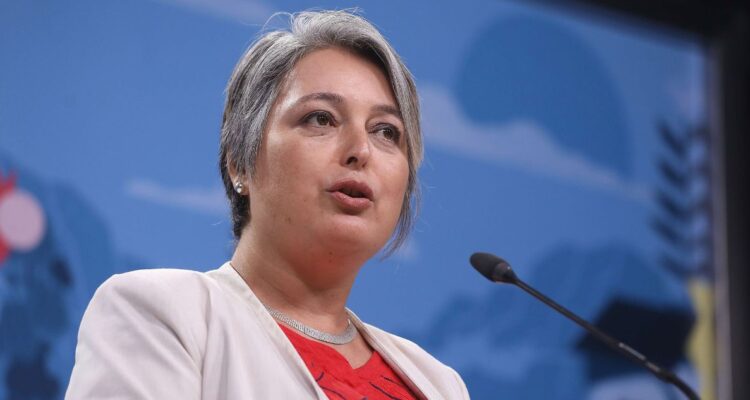 Gobierno propone “nuevo pacto” para combatir incendios: incluiría regulación de empresas forestales