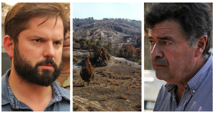 Las ideas que maneja el Gobierno para un “nuevo pacto” con las empresas forestales