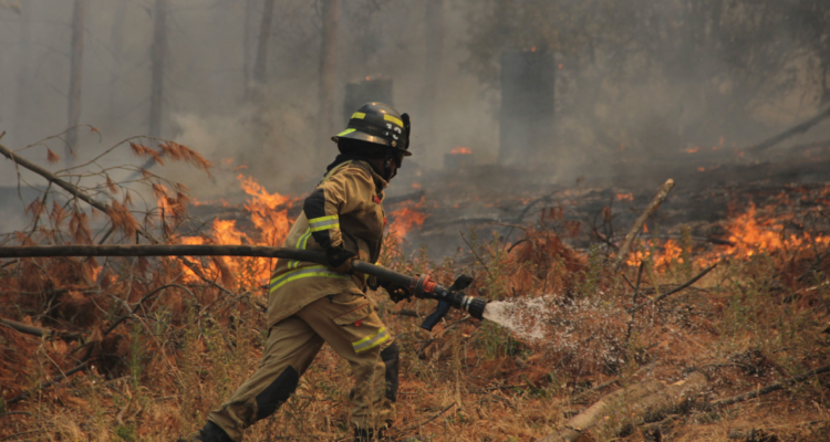 Gobierno incendios forestales