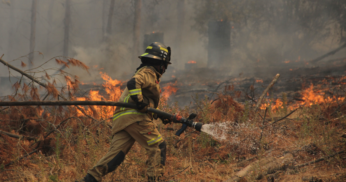 Gobierno incendios forestales