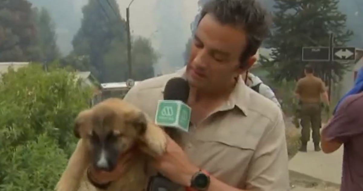 El periodista Gonzalo Ramírez junto a un cachorro que rescató al quedar abandonado en una casa evacuada.