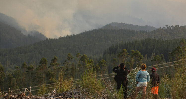 Incendios e industria forestal