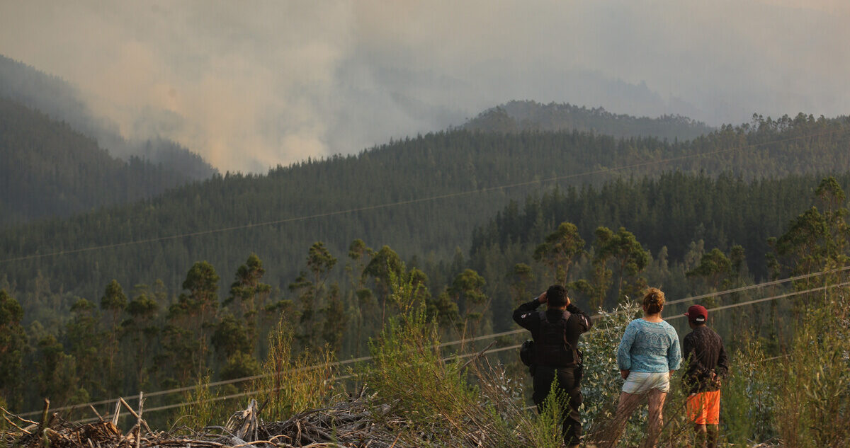 Incendios e industria forestal