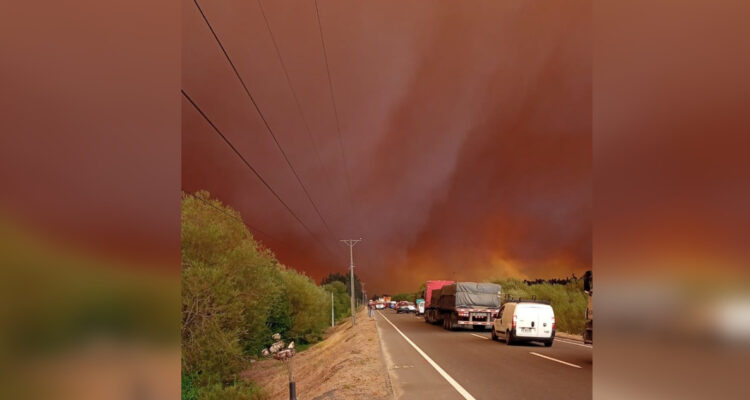 8.000 hectáreas consumidas por incendios en Coronel