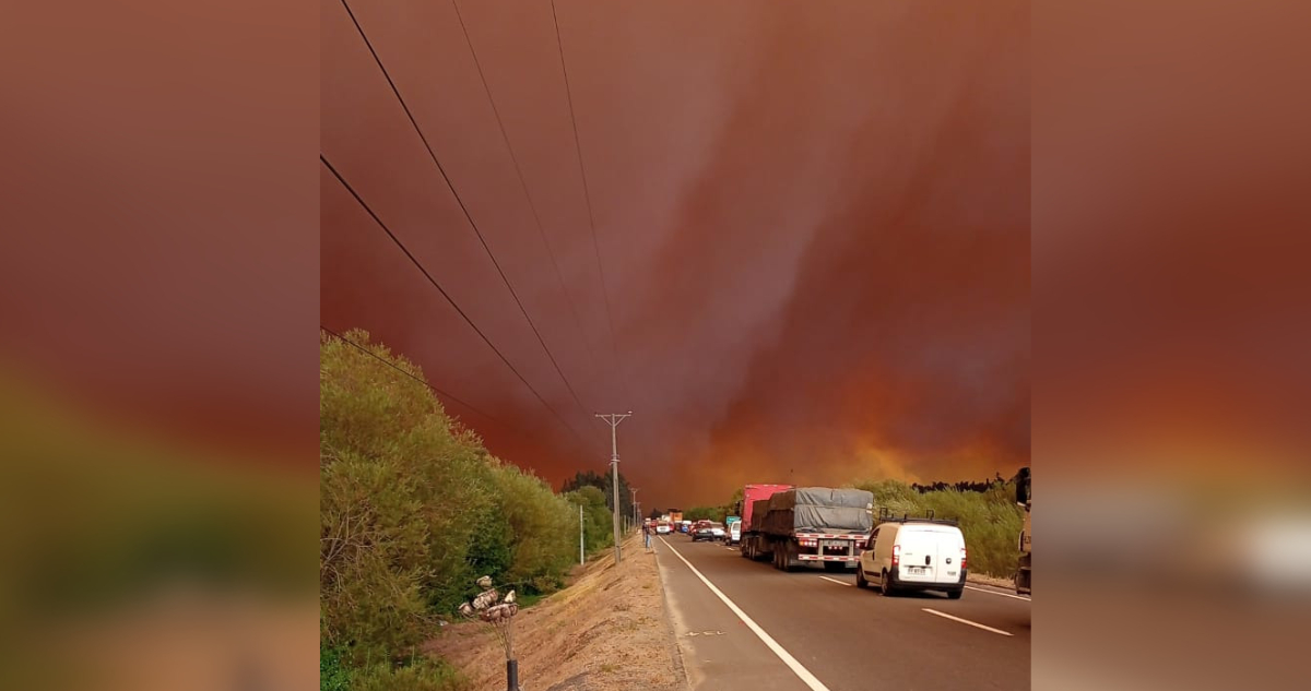 8.000 hectáreas consumidas por incendios en Coronel