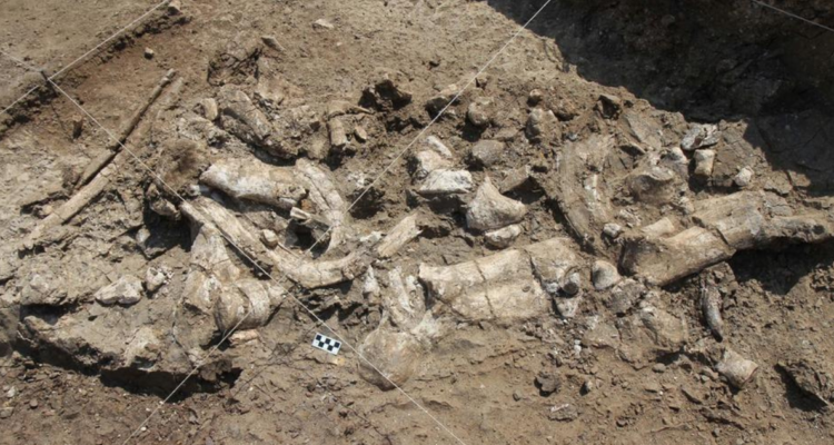 herramientas de piedra