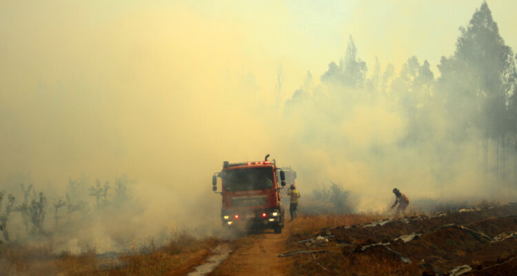 incendios en Quillón