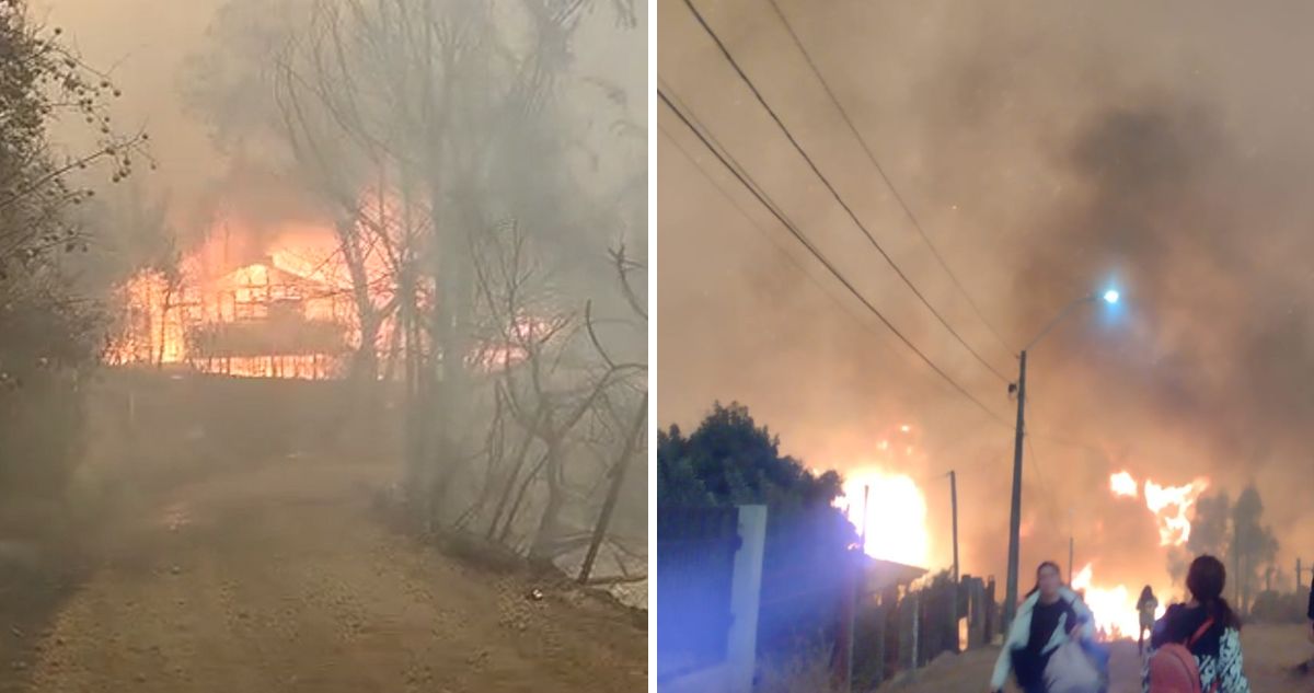 Las desoladoras imágenes que dejan los incendios en Bío Bío y Ñuble