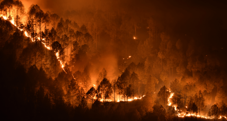 Incendios extremos en Chile
