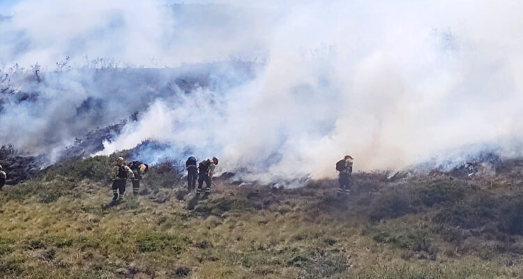 Declaran Alerta Roja para Vilcún por incendio forestal que amenaza al Parque Nacional Conguillio
