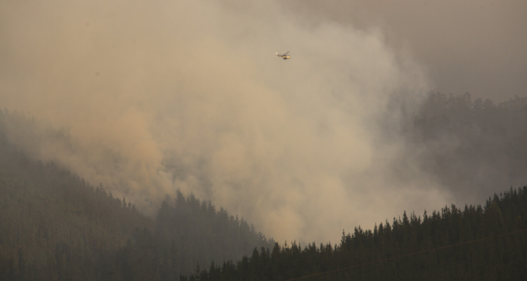 Se registran 7 nuevos focos de incendios forestales en la región del Bío Bío