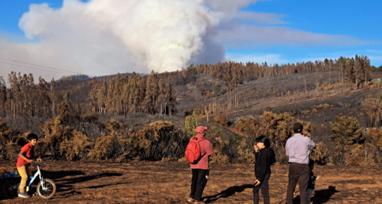 Sin control se mantiene incendio en Temuco: más de 900 hectáreas destruidas y avanza hacia Lautaro