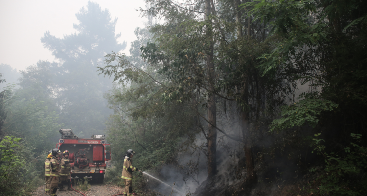 incendios forestales