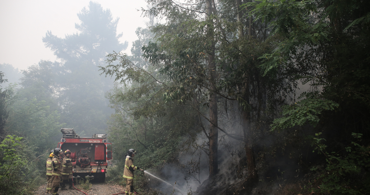 incendios forestales