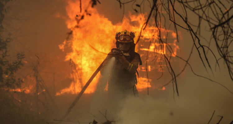 Máquina agrícola en mal estado provocó nuevo incendio forestal en Panguipulli