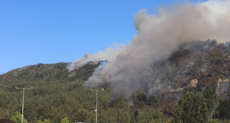 Incendio forestal en Arauco