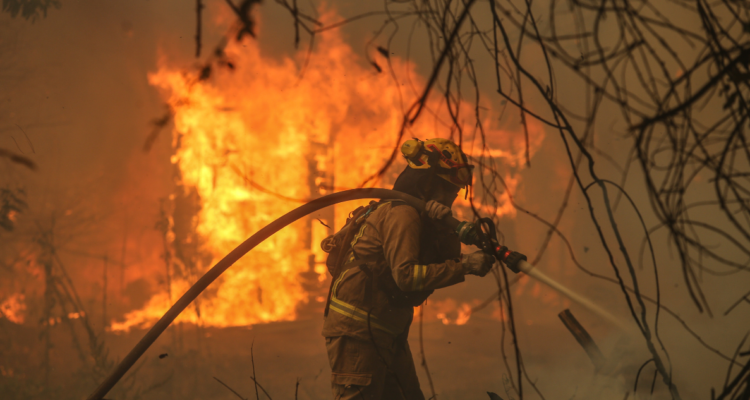 Casi 6 mil damnificados dejan incendios forestales que llevan 430 mil hectáreas consumidas