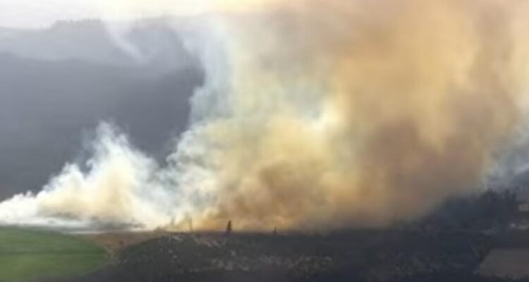 Alerta Roja en Casablanca por incendio forestal de rápida propagación