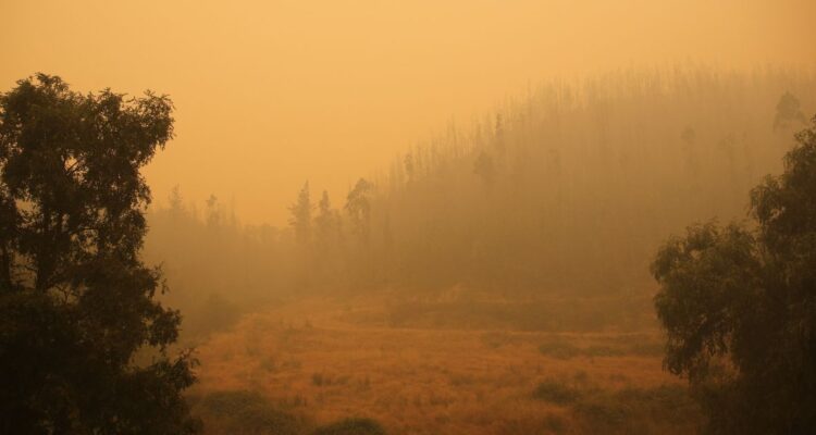 Región de Ñuble: Solicitan evacuar cuatro sectores de Quillón por rápido avance de incendio forestal