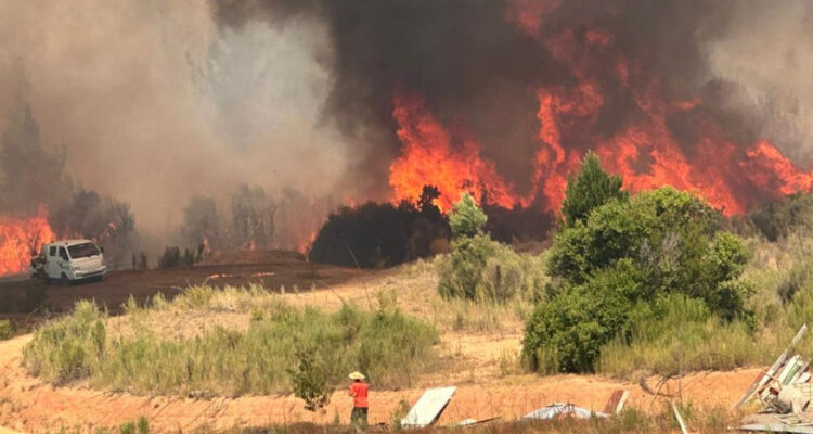 Más de 740 hectáreas consumidas por incendios forestales en cuatro comunas de la región de Ñuble