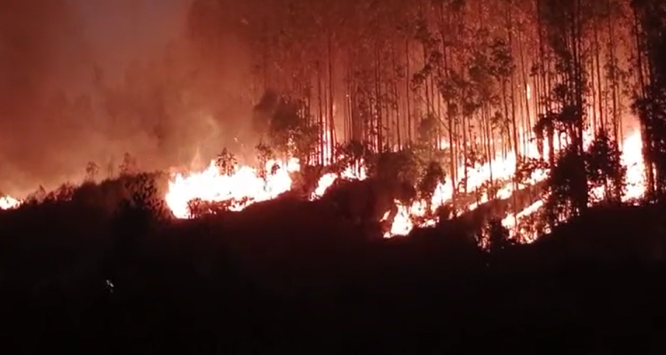Decretan toque de queda en Coronel: incendio forestal superó las 4 mil hectáreas afectadas